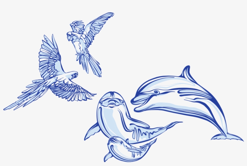 Dolphbirds2 - Bird Dolphin, transparent png download