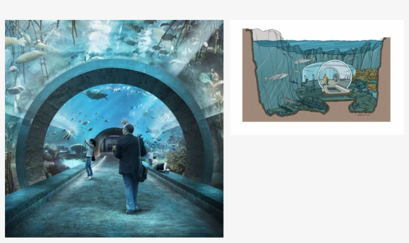 Links To The Future - Zoo Basel Ozeanium, transparent png download