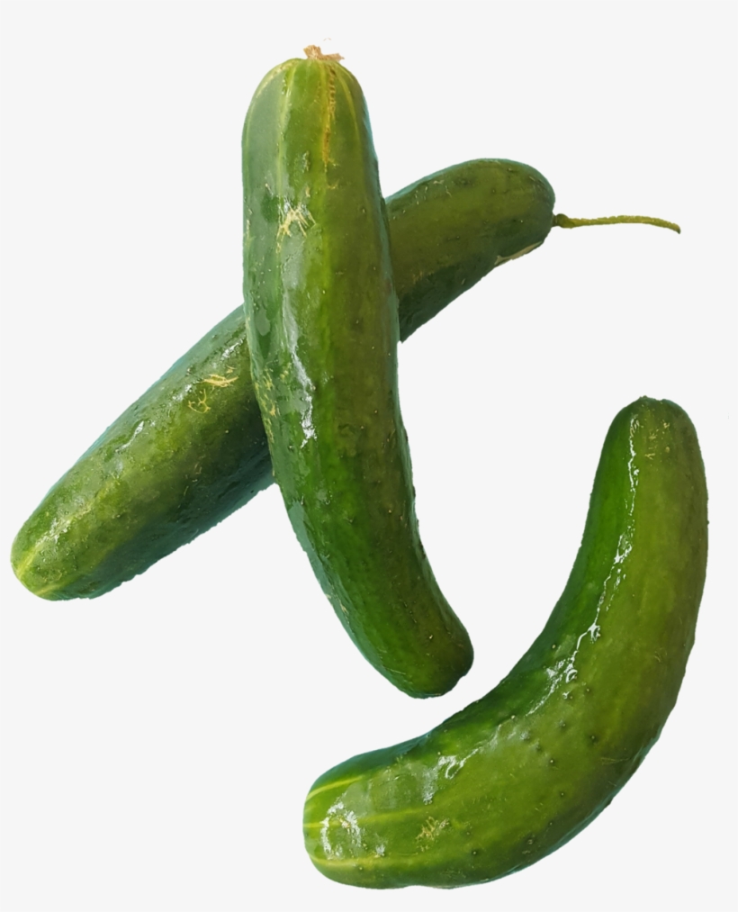 1531938448641 - Cucumber, transparent png download
