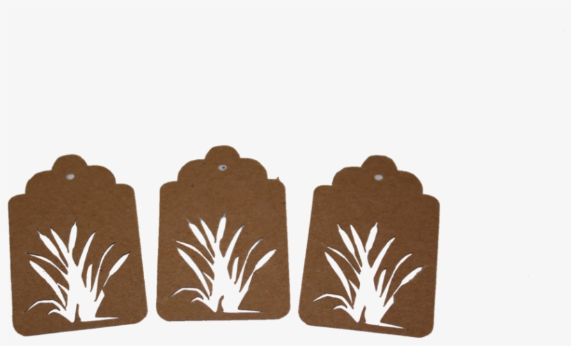 Cattail 1 Tags - Illustration, transparent png download