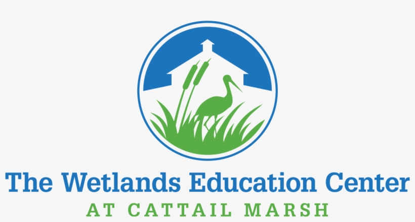 The Wetlands Education Center At Cattail Marsh - Bournemouth University, transparent png download