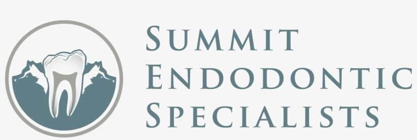 Link To Summit Endodontic Specialists, Inc - Baker Tilly Berk, transparent png download
