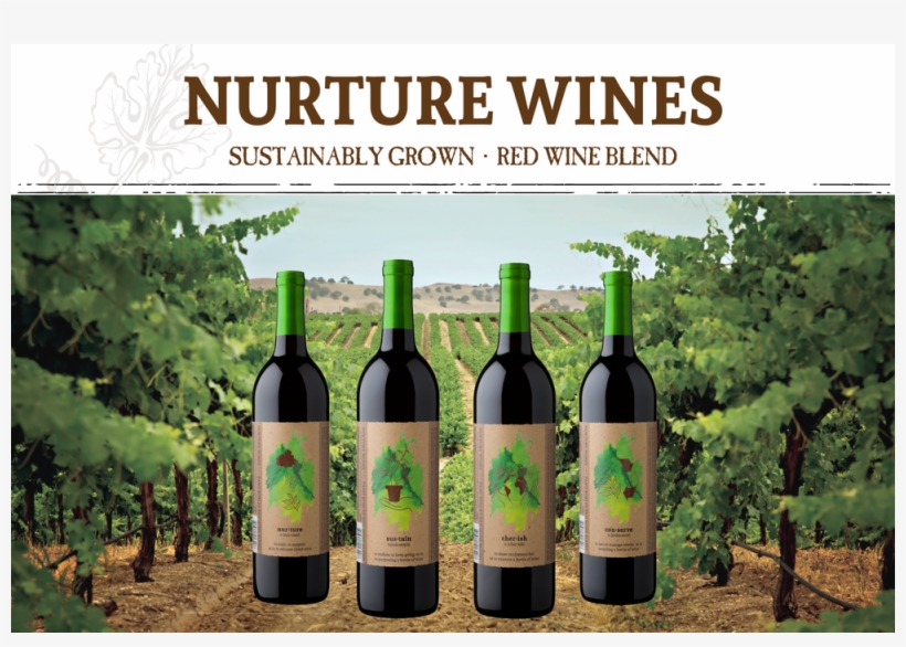 May Wine, transparent png download