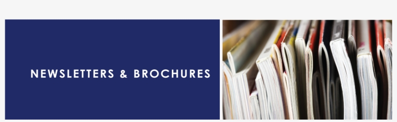 Phoenix Care Systems - Graphic Design, transparent png download