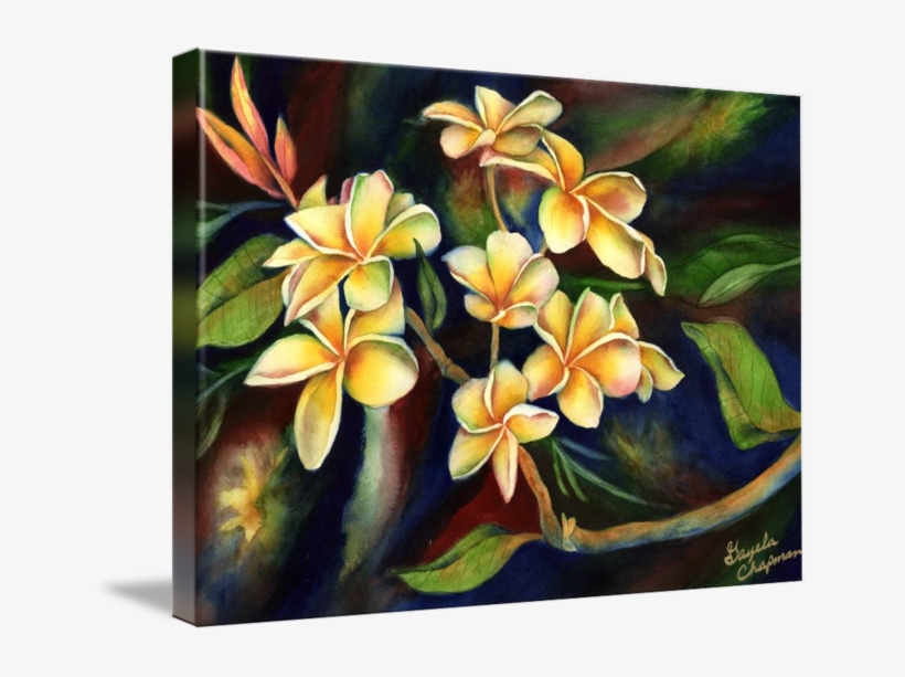 Island Sincerity Yellow By Gayela Chapman Mckelvie - Frangipani, transparent png download
