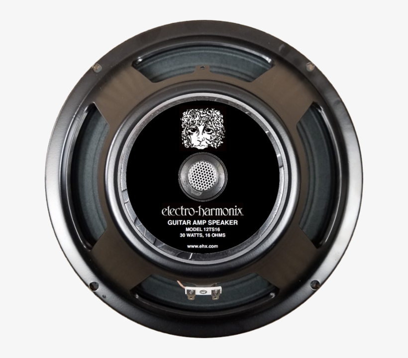 See Larger Picture / Download Png Image File - 12 Ehx 12ts8 Speaker, transparent png download