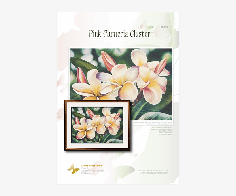 Prev - Frangipani, transparent png download
