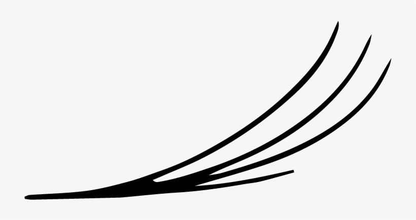 Lashes-03 - Line Art, transparent png download