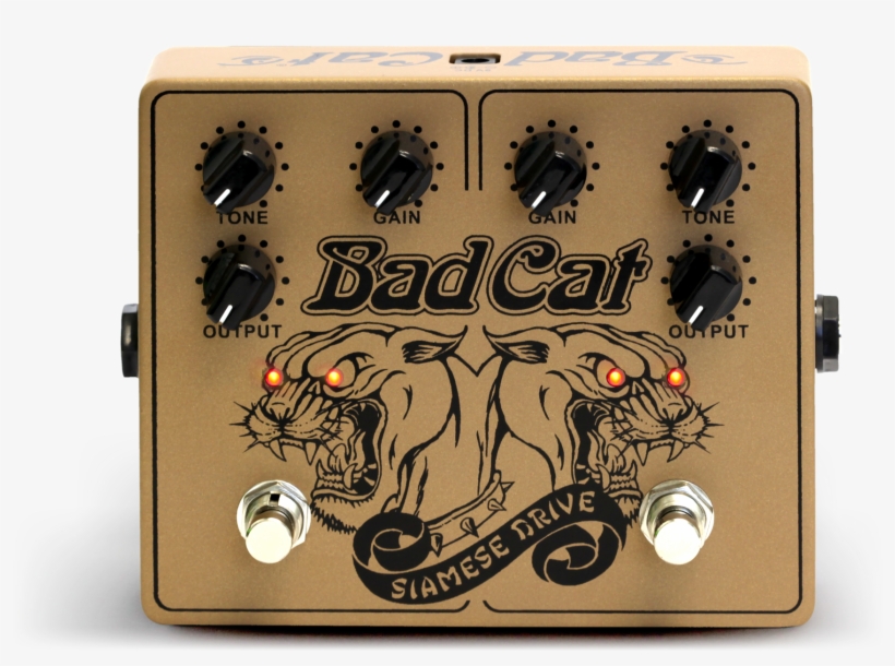 Bad Cat Siamese Drive, transparent png download