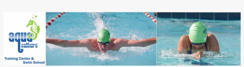 Butterfly Stroke, transparent png download