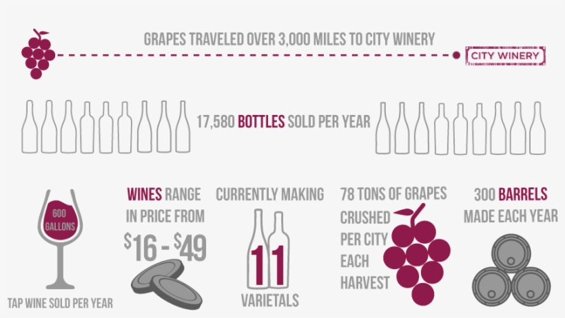 Wine Statistics - Grape, transparent png download