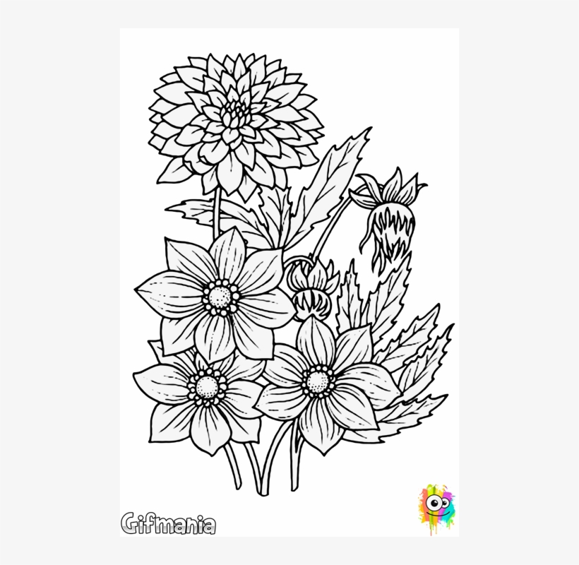 Ramo De Flores Secas Cercle Magique, Monde De Couleur, - Sketch Of Flowers, transparent png download