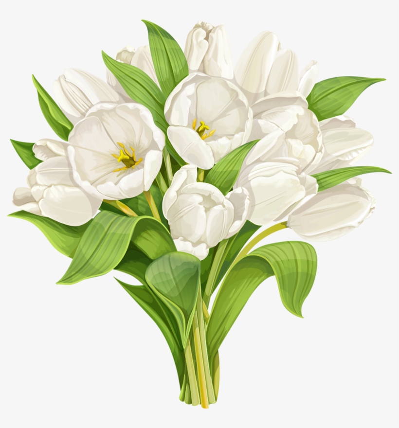 Фотки Imprimibles, Arte Floral, Flores De Arte, Tulipanes - Watercolor White Tulip, transparent png download