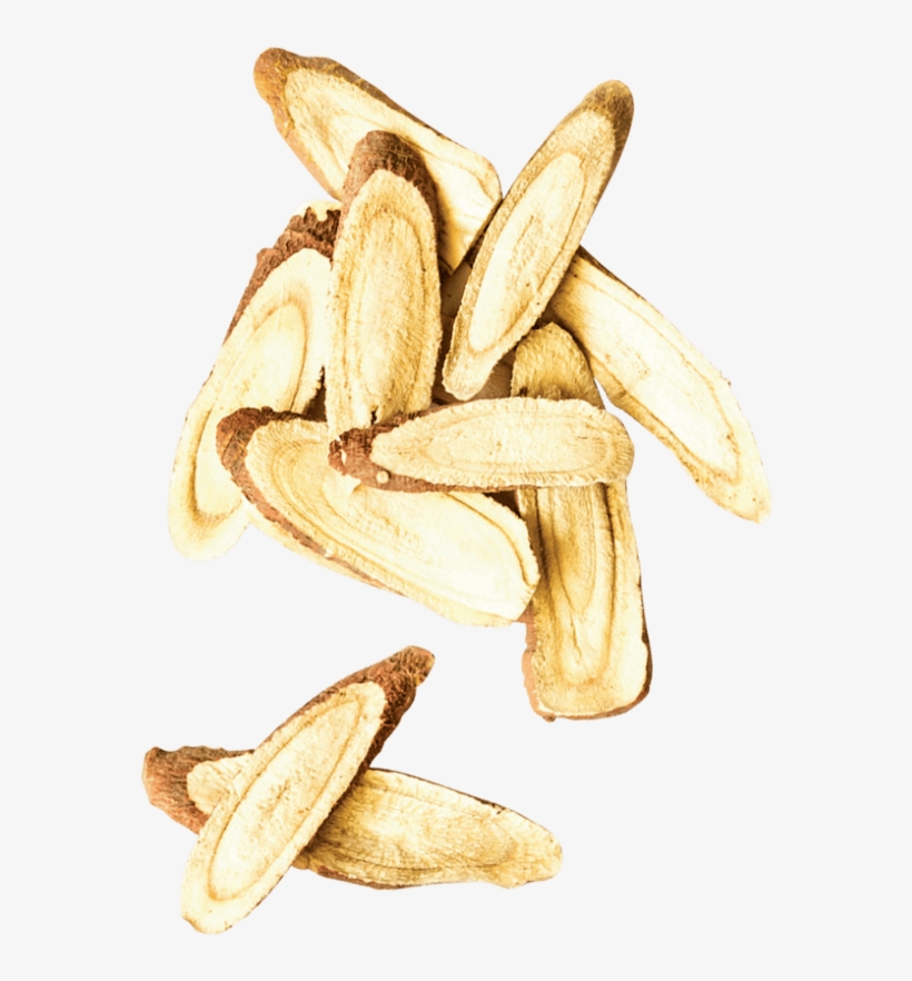 Herbal Point - Seed, transparent png download