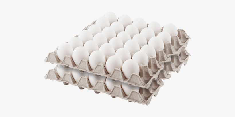 Huevo Blanco Aaa60 Unidades - Plastic, transparent png download