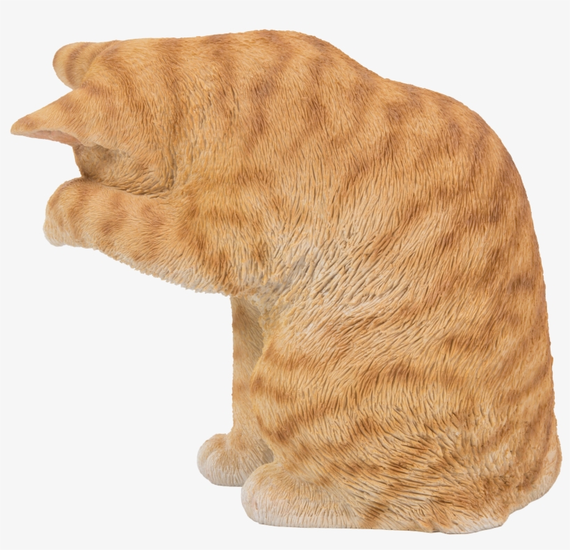 Cat Grabs Treat, transparent png download