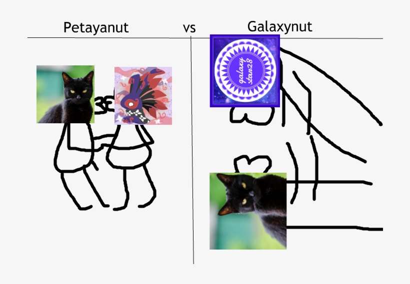 Ship Wars - Domestic Short-haired Cat, transparent png download