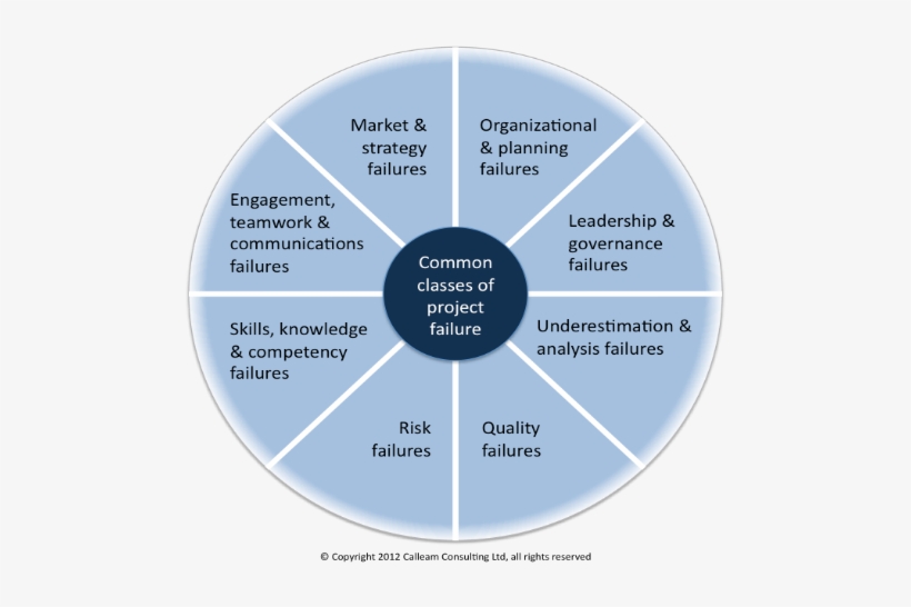 Source - Http - //calleam - Com - Common Classes Of Project Failure, transparent png download