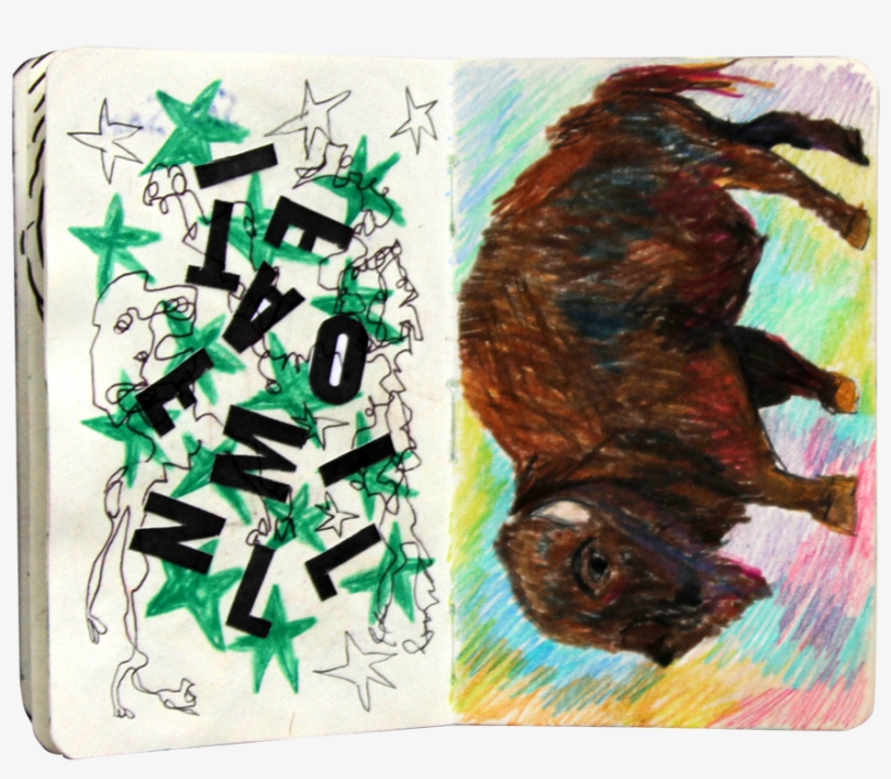 18 - Sea Otter, transparent png download