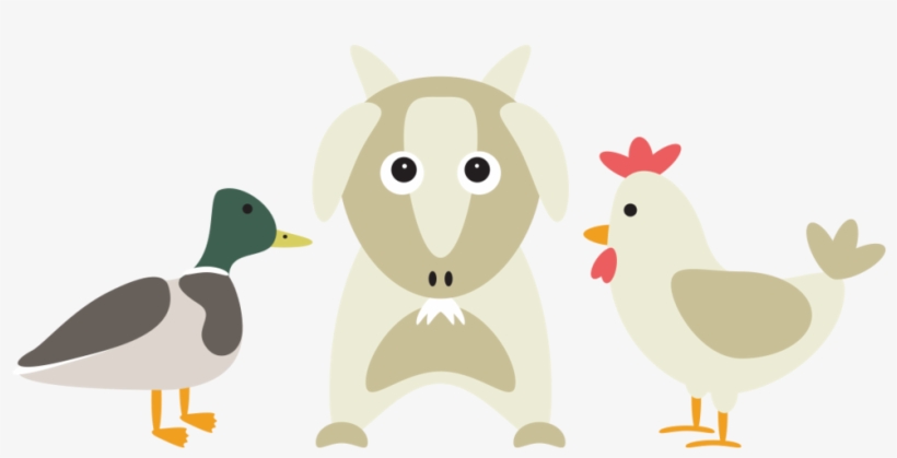 Duck Chicken Feed Website Icon - Duck And Chicken, transparent png download