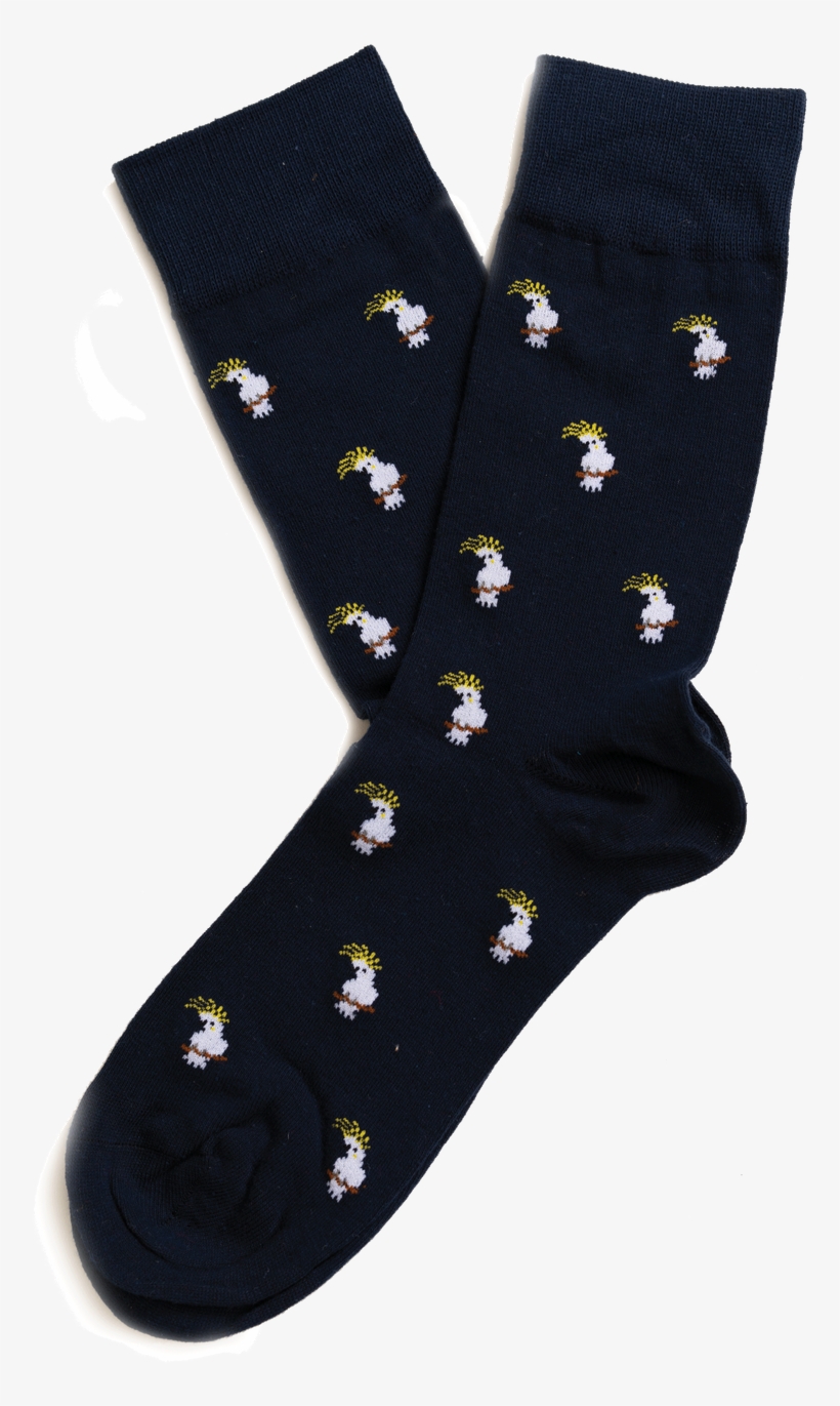 Sock, transparent png download