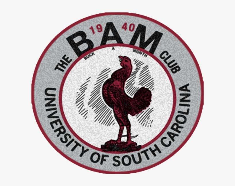 South Carolina Gamecocks Fan Gear - Rooster, transparent png download