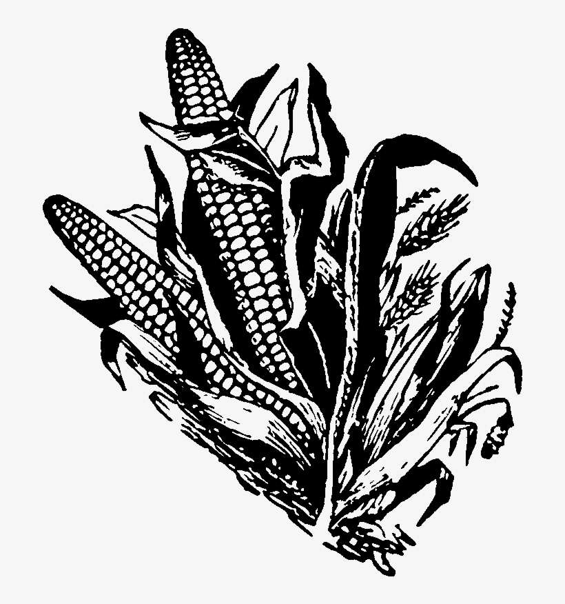 Corn Clipart Bit - Illustration, transparent png download