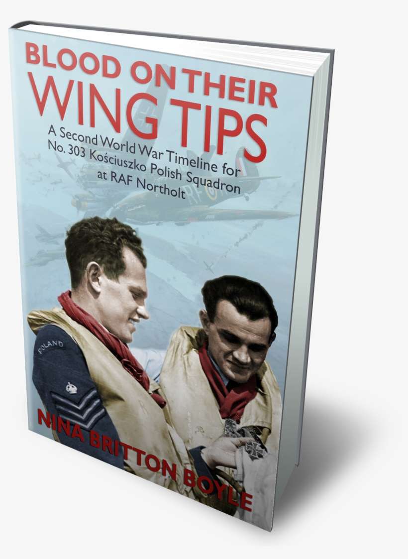 Botw 3dcover - Squadron 303 Book, transparent png download