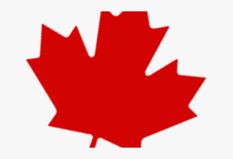 Canada Leaf Logo Png, transparent png download