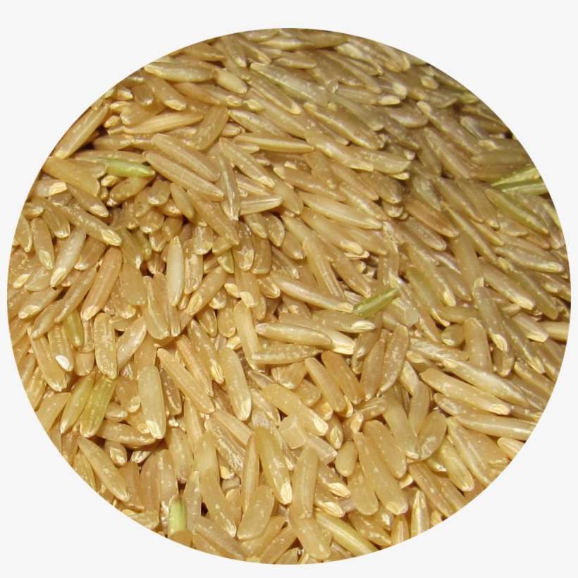 Rice Is A Staple Food In Most, If Not All, Asian Dishes - Rice, transparent png download