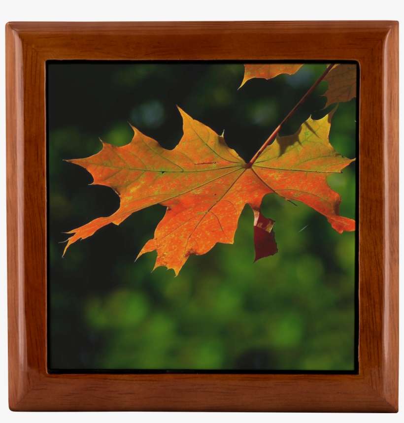 Red Maple Leaf Wood Jewelry Box - Love And Gratitude On Thanksgiving, transparent png download