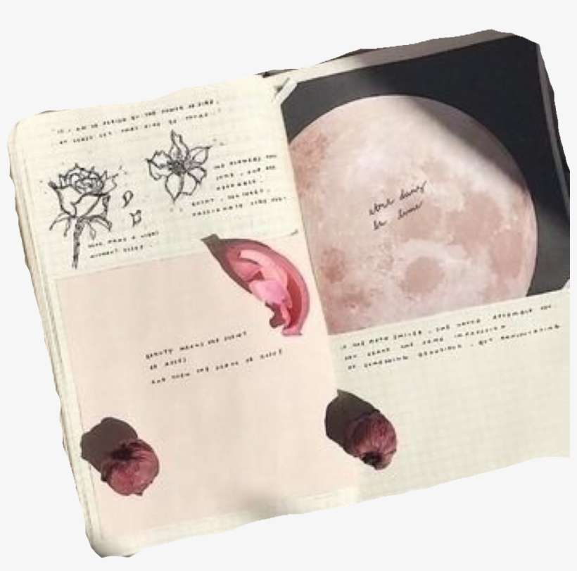 Fundos, Guernsey, Vaselina, Sobreposições, Placas De - Ways To Fill Notebooks, transparent png download