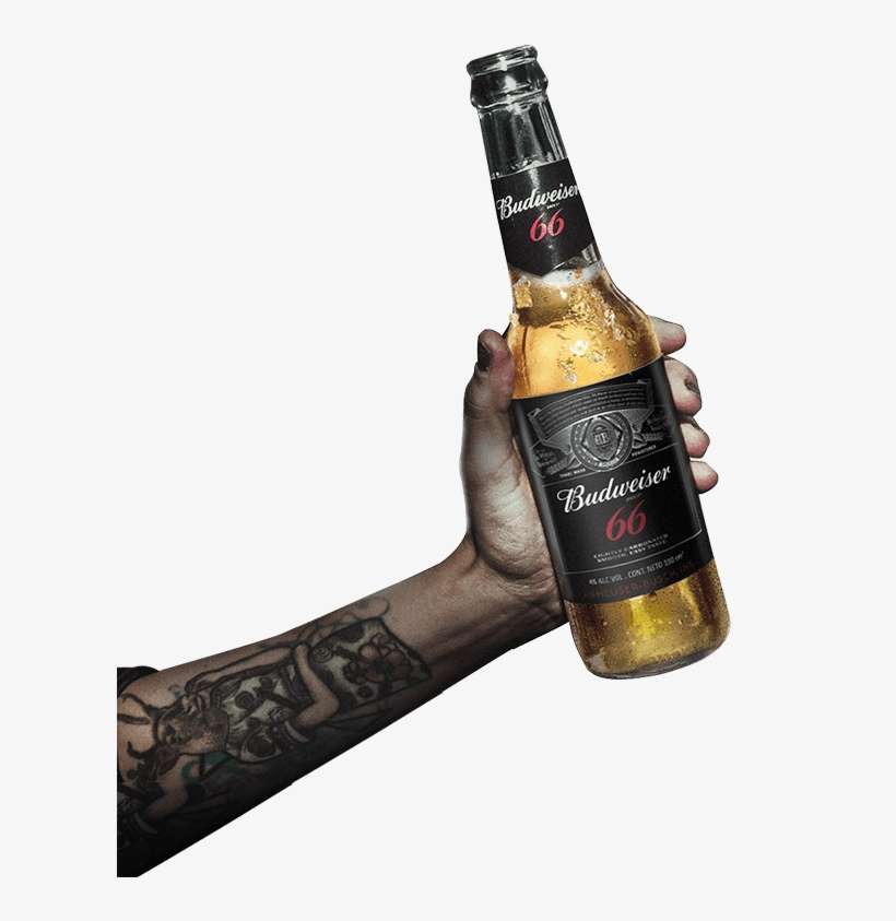 You Can Taste Our Beer In These Exclusive Sizes - Guinness, transparent png download