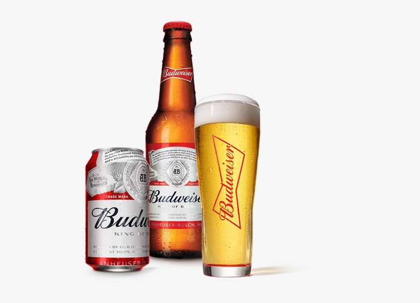 Cerveja Budweiser 343, transparent png download