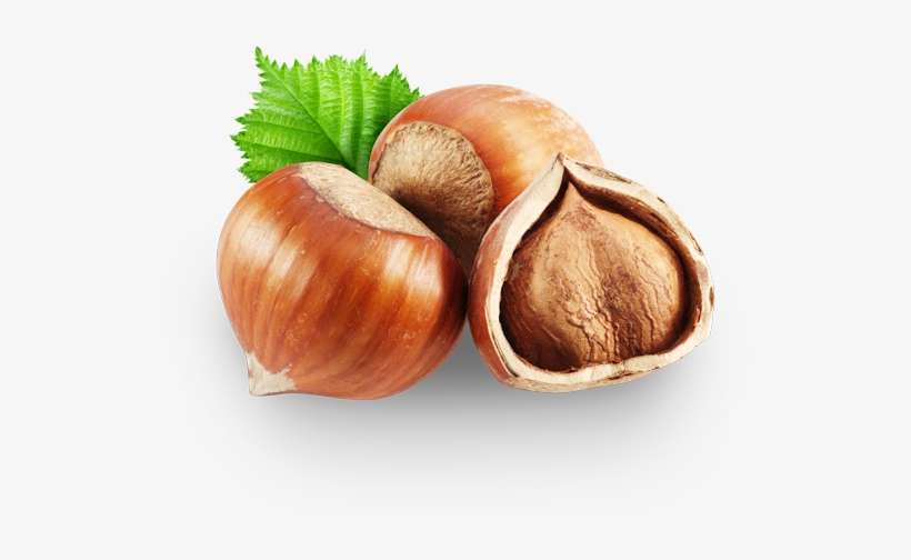Salt 0 - 1% - Chestnut, transparent png download