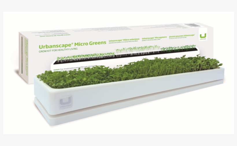 Moss, transparent png download