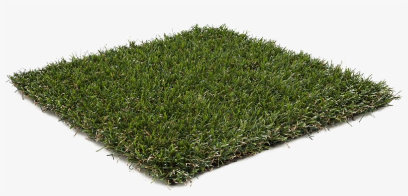 X-tinguish - Hedge 3d Model Fbx Free Download, transparent png download