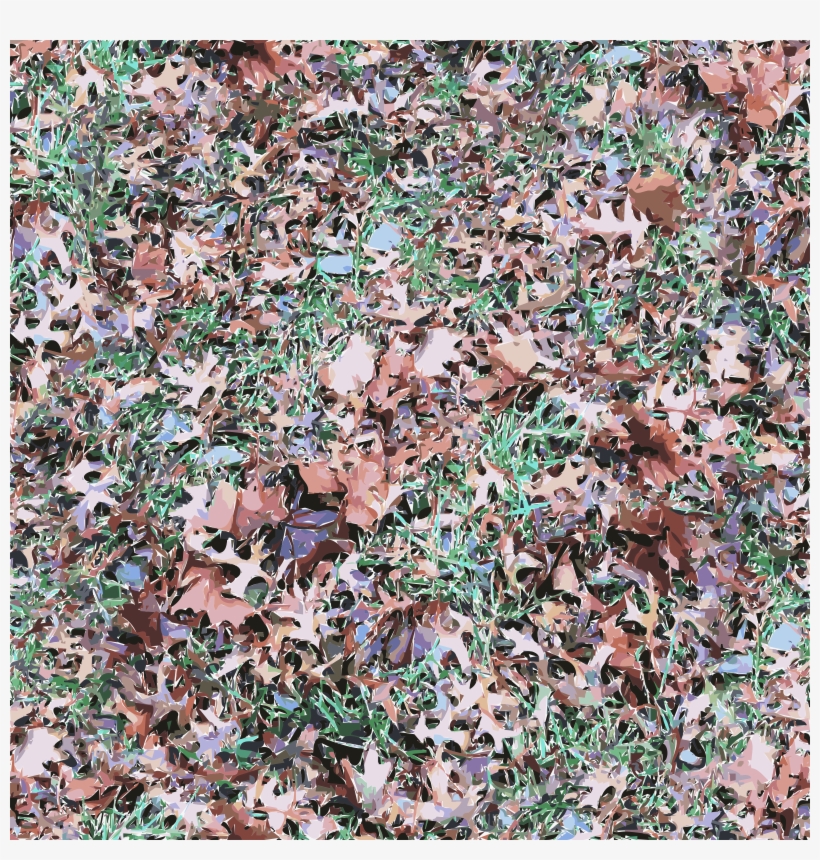 Big Image - Grass, transparent png download