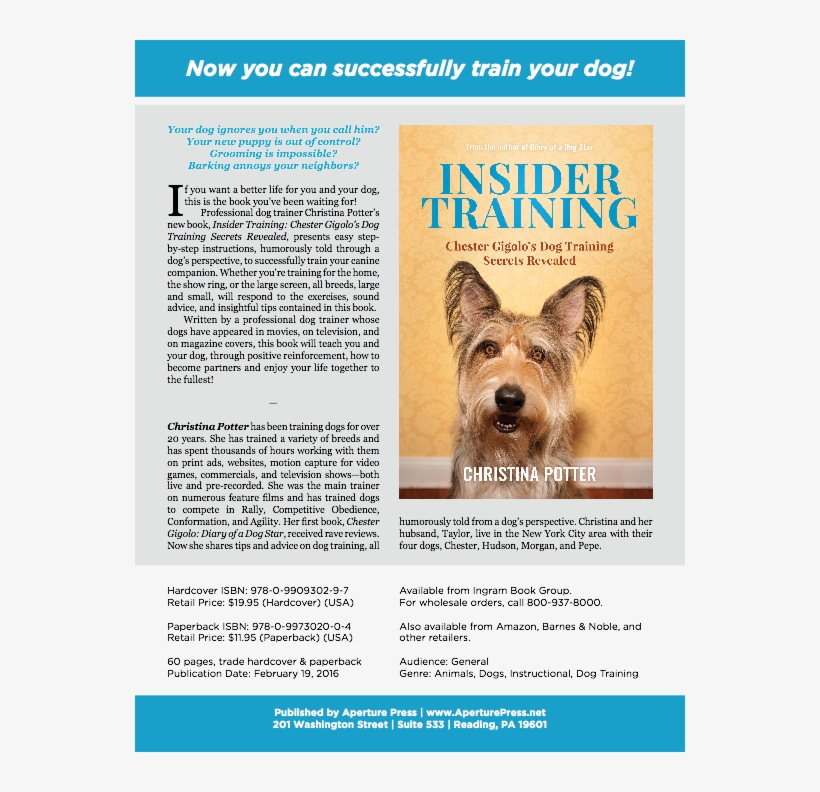 Pepe Learns To Run Again - Companion Dog, transparent png download