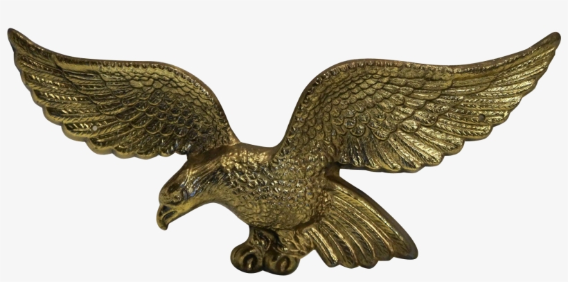 Top Images For American Brass Eagle Plaque On Picsunday - Red-tailed Hawk, transparent png download