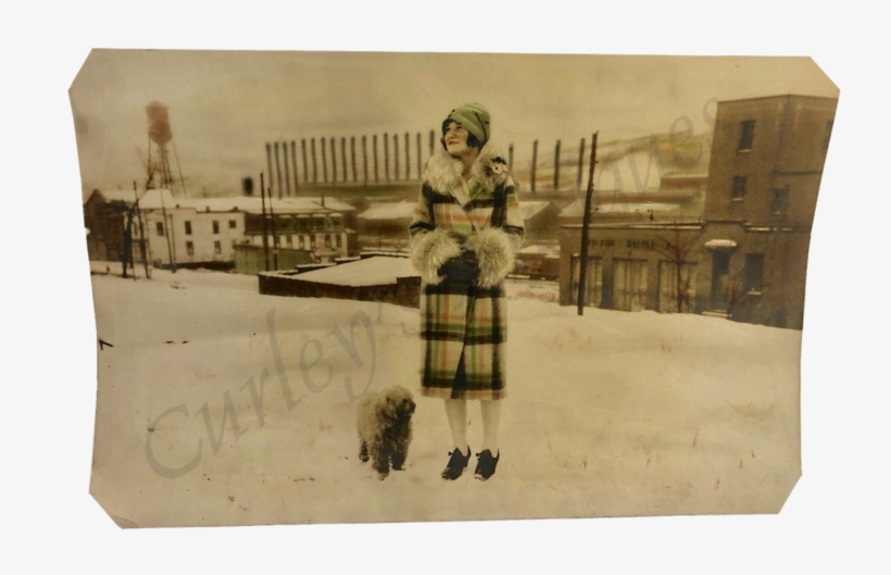 Vintage 1927 Fashion Flapper Beauty Woman Dog Steel - Painting, transparent png download