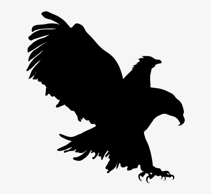 Sombra De Aguila Png, transparent png download