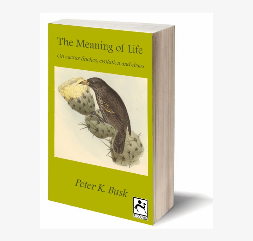 Busk Cover - Common Chameleon, transparent png download