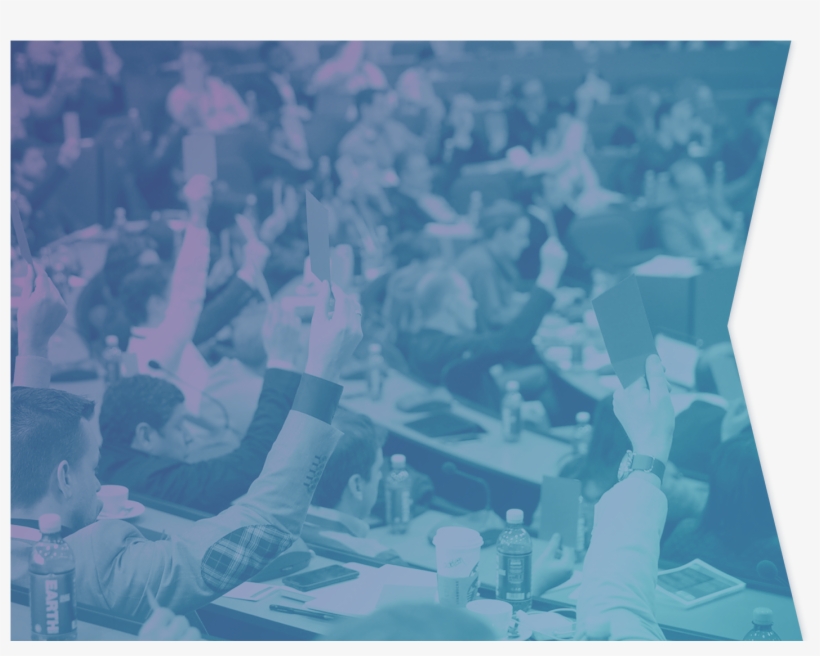 Program Overview - Crowd, transparent png download