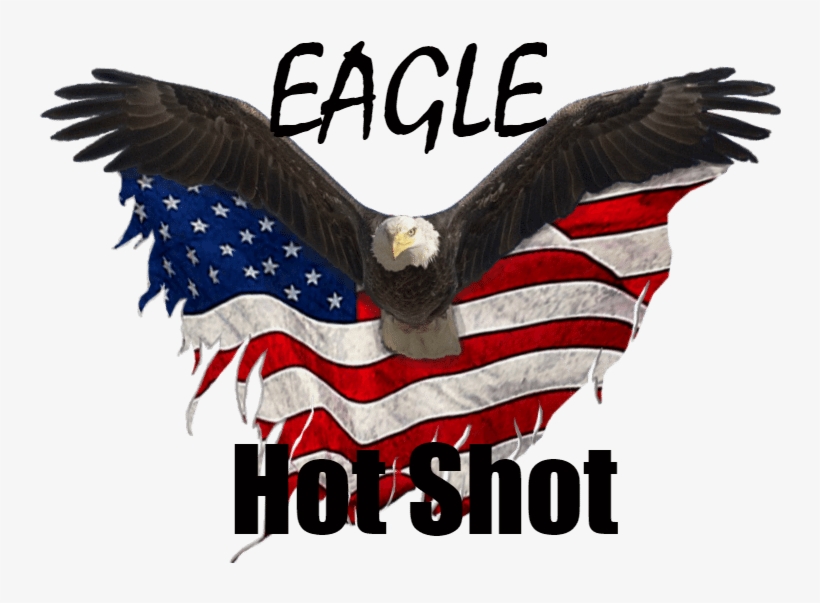 Bald Eagle, transparent png download