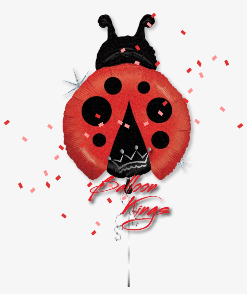Ladybug - Happy Birthday Ladybug, transparent png download