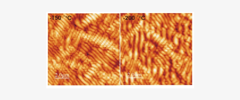 Zoom Of Afm Pictures At Low Temperatures T = −150c - Thread, transparent png download