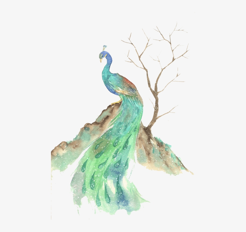 Free Png Download Watercolor Animals Peacock Png Images - Watercolor Peacock Transparent, transparent png download