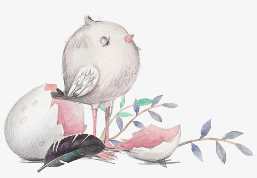 Sign Up To Join The Conversation - African Grey, transparent png download