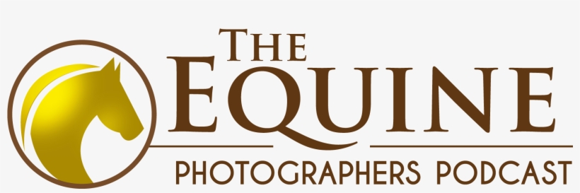 Andrew & Stacy Ryback - Tan, transparent png download